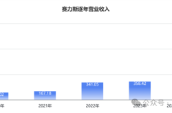 赛力斯2024年业绩暴涨：华为加持下的百万辆级目标