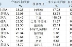 人形机器人概念火爆：机构扎堆涌入，但高估值风险不容忽视