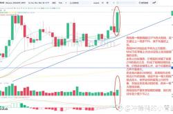 SOL价格分析：强势上涨，目标315以上