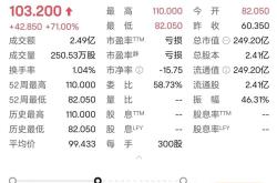 布鲁可IPO：火爆认购背后的市场机遇与风险