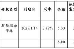 河南豫能控股5亿元超短期融资券发行，乡村振兴与区块链技术的潜在结合